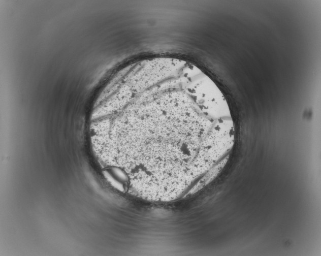 X0000113200592200910221042