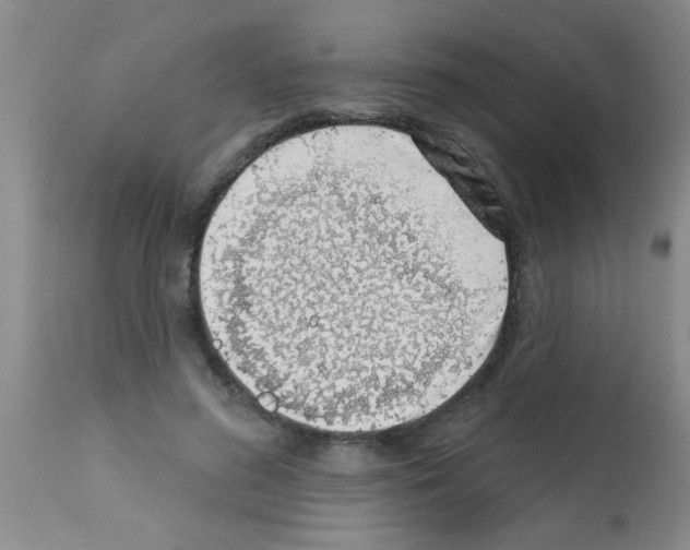 X0000113200596200910221042