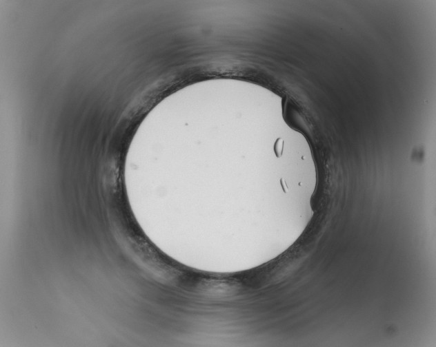 X0000113200597200910221042