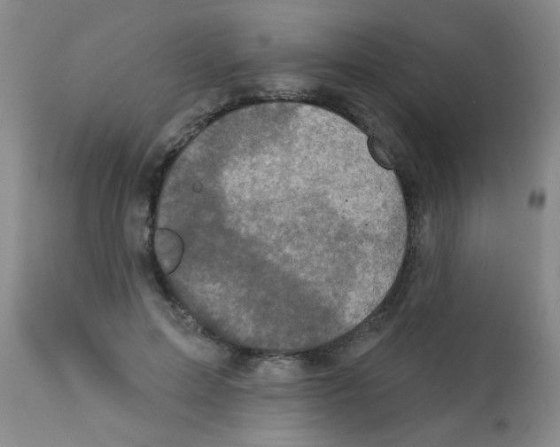 X0000113200599200910221042