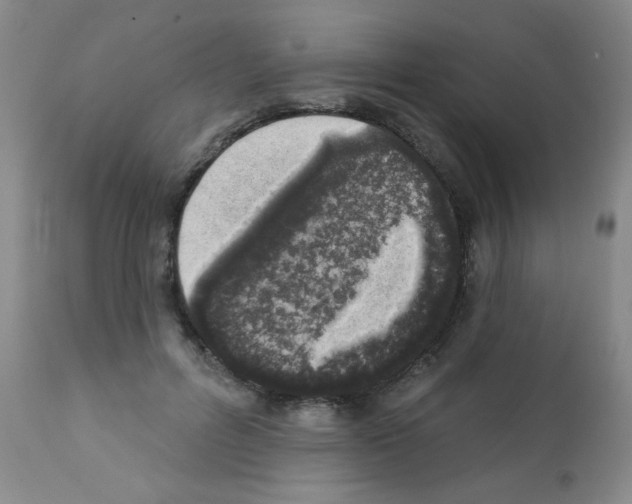X0000113200600200910221041