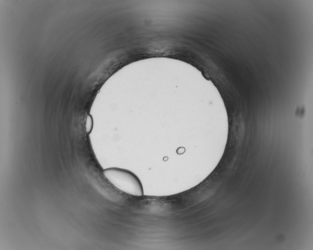 X0000113200601200910221041
