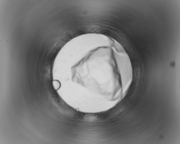 X0000113200602200910221041