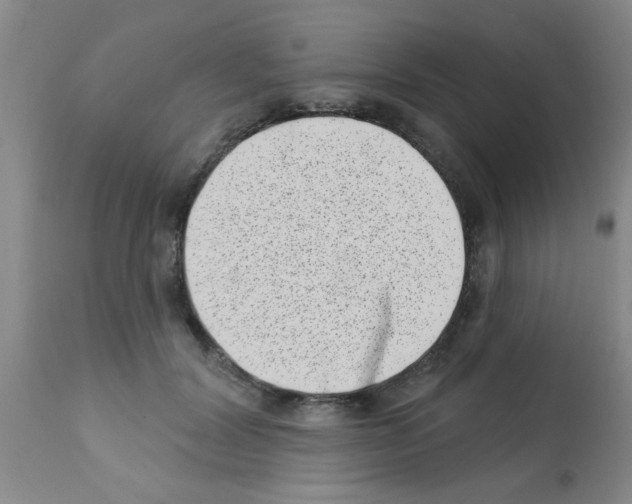 X0000113200604200910221041