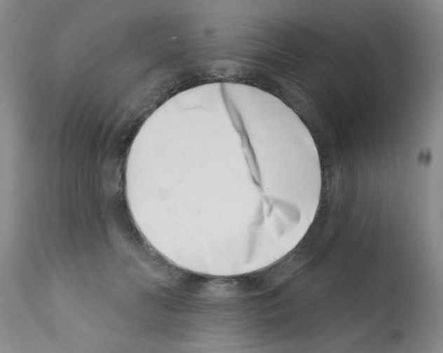 X0000113200606200910221041