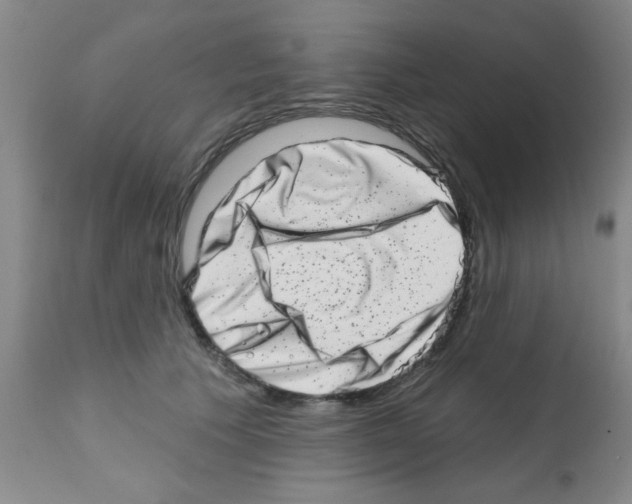 X0000113200609200910221041
