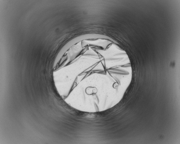 X0000113200611200910221041