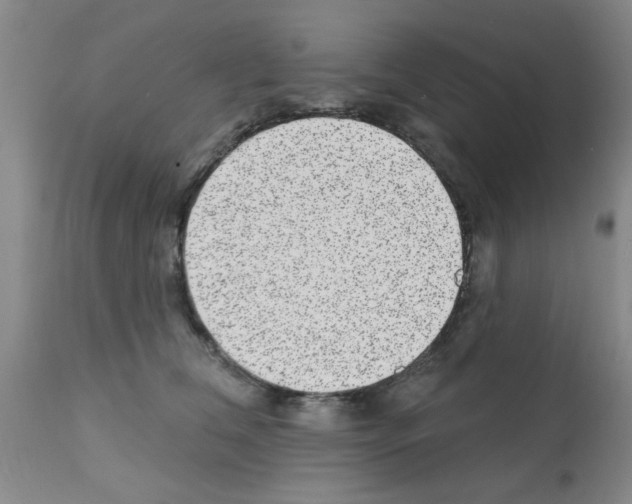 X0000113200612200910221041
