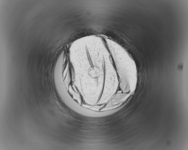 X0000113200613200910221041