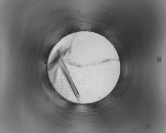 X0000113200614200910221041