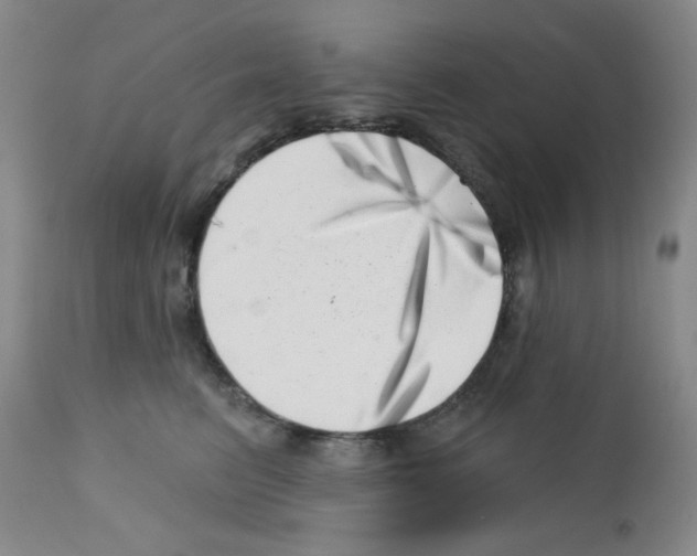 X0000113200615200910221041