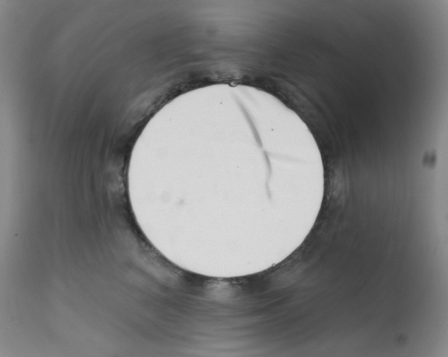 X0000113200616200910221041