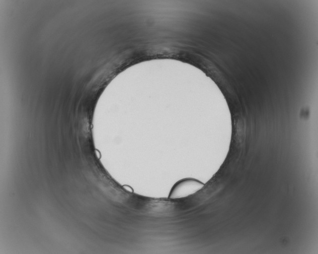 X0000113200617200910221041