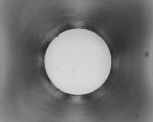X0000113200618200910221041