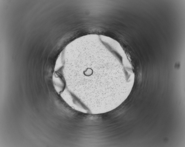X0000113200619200910221041