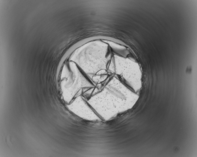 X0000113200621200910221041