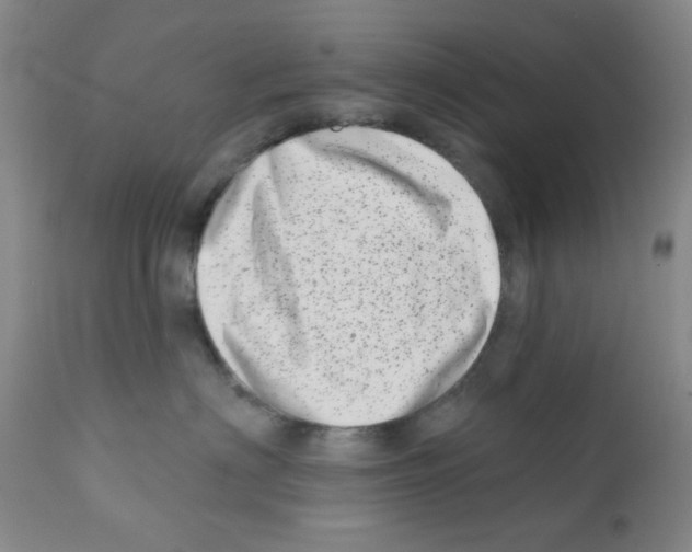 X0000113200622200910221041