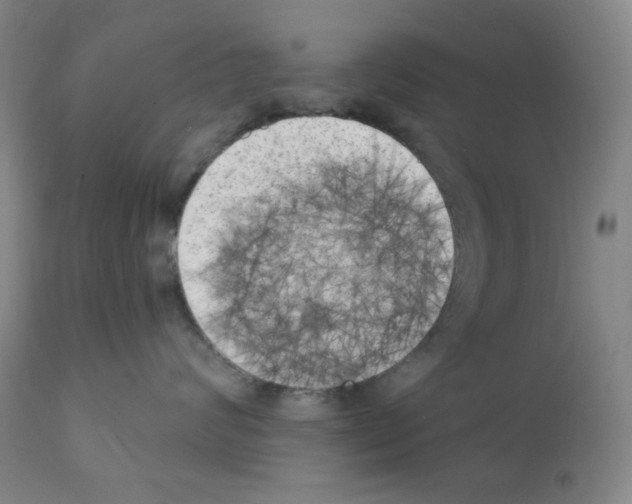 X0000113200624200910221041