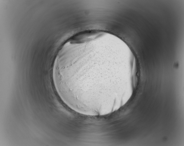 X0000113200625200910221040