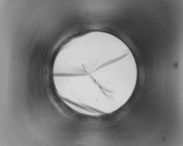 X0000113200626200910221040