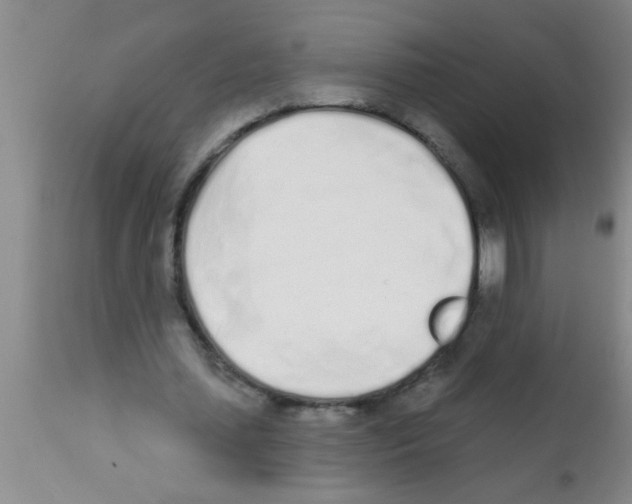 X0000113200627200910221040