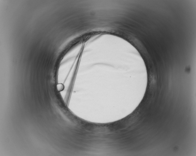 X0000113200628200910221040