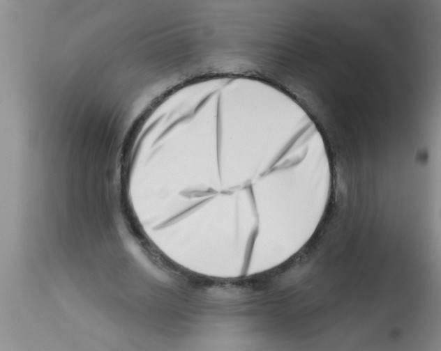 X0000113200630200910221040