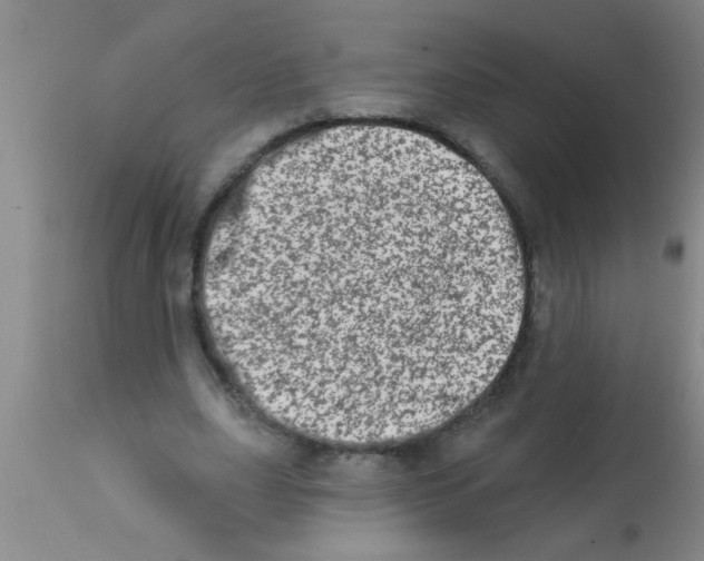 X0000113200631200910221040