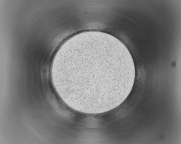 X0000113200632200910221040