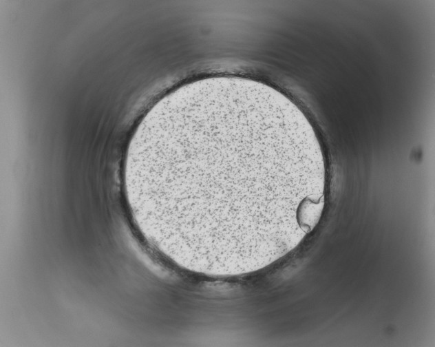 X0000113200633200910221040