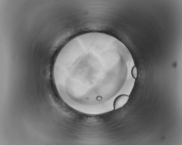 X0000113200635200910221040
