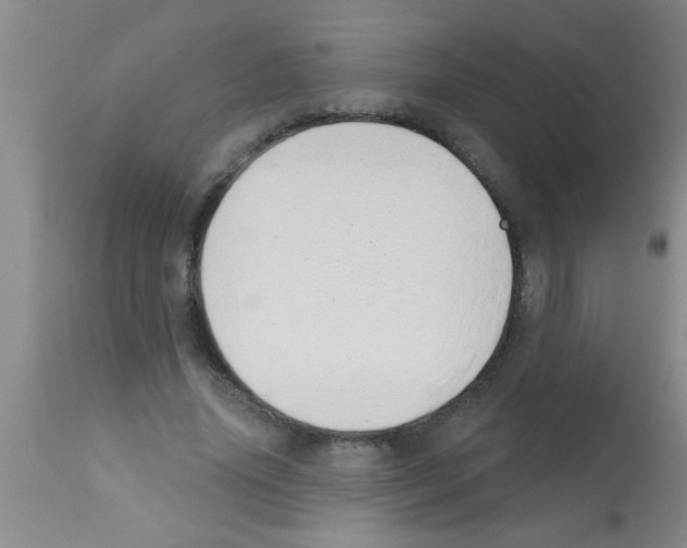 X0000113200636200910221040