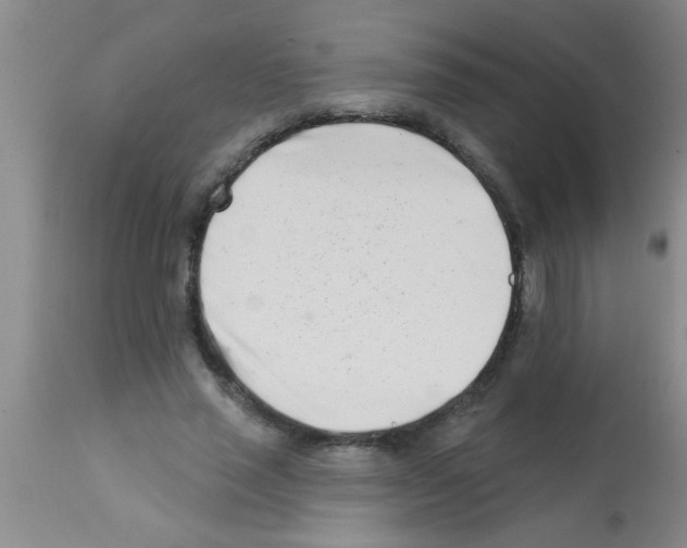 X0000113200637200910221040