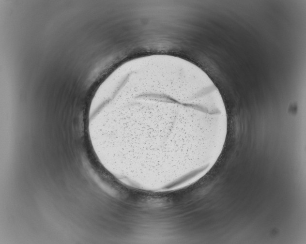 X0000113200638200910221041