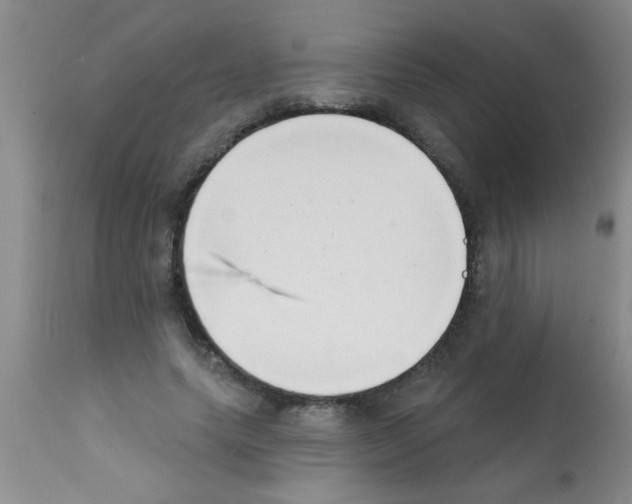 X0000113200639200910221041
