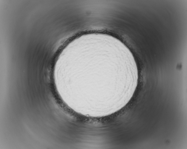 X0000113200640200910221041