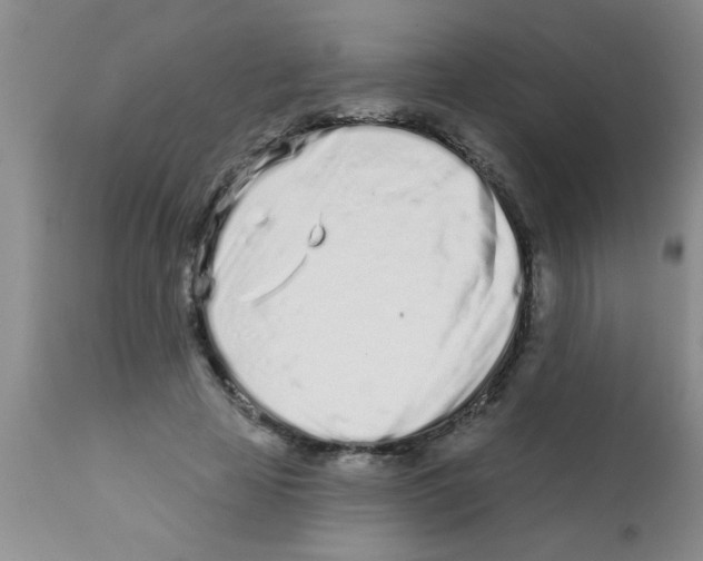 X0000113200641200910221041