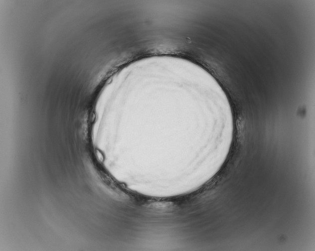 X0000113200642200910221041