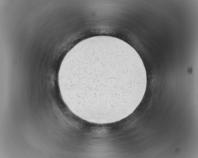 X0000113200643200910221041