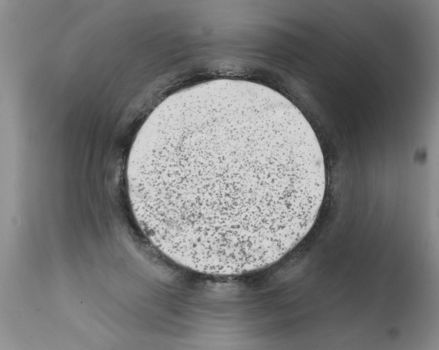X0000113200645200910221041