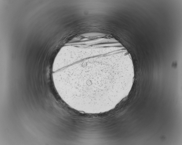 X0000113200646200910221041