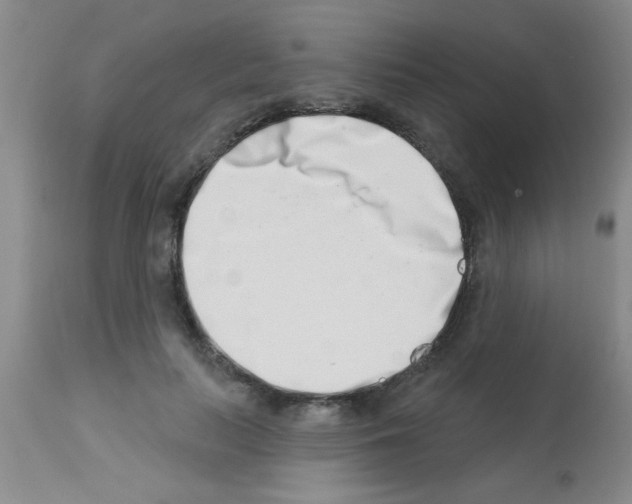 X0000113200647200910221041