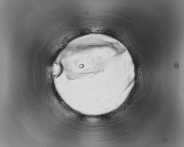 X0000113200650200910221041