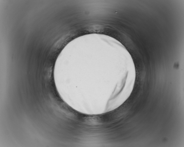 X0000113200652200910221041