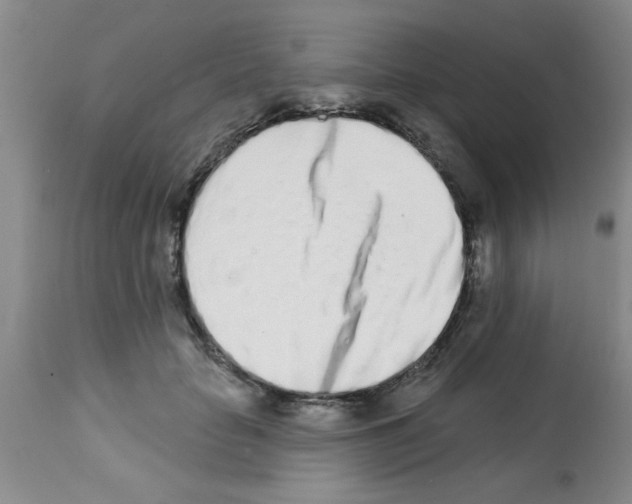 X0000113200653200910221041
