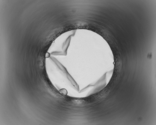 X0000113200654200910221041
