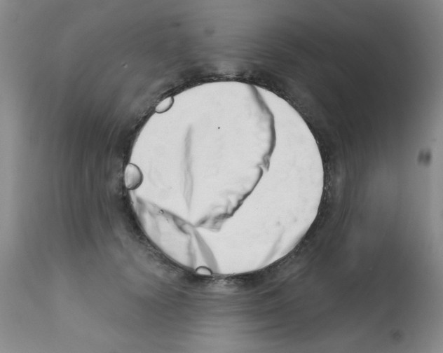 X0000113200656200910221041