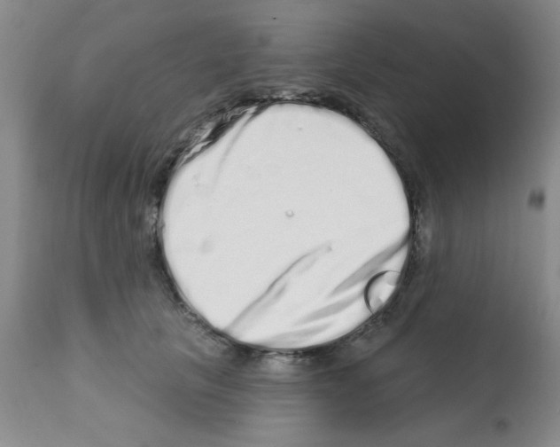 X0000113200657200910221041