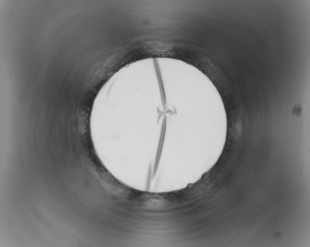 X0000113200658200910221041