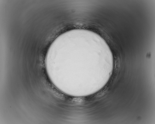 X0000113200659200910221041